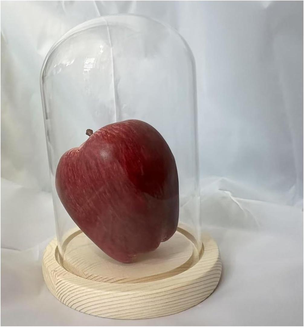 Glass Cloche Display Dome with Wooden Base, Tabletop Bell Jar Centerpiece (4X6 inch 1)