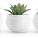 Der Rose Set of 4 Succulent Plants Artificial in Pots Small Fake Plants for Bedroom Aesthetic Living Room Shelf Bathroom Decor Office Desk Accessories