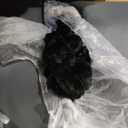 HABUTWAY 105" L-Shape Modular Sectional Sofa Couch for Living Room,No Assembly Required,Modular Comfy Sofa with Deep Seat for Living Room Bedroom,Luxury Distressed Velvet(Left,Black)