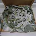 Ling's Moment Italian Ruscus Greenery, 5.9ft Artificial Silk Willow Leaf Garland, Fake Wispy Rustic Vine Stem Swag for Table Centerpieces Wedding Arch Decor, Dusty Green