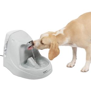 PetSafe Drinkwell Platinum Dog and Cat Water Fountain, Automatic Drinking Fountain for Pets, 168 Ounce,Grey