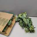 Tigeen 200 Pcs Artificial Eucalyptus Stems Tall 11.8 Inch Tall Faux Eucalyptus Branches Fake Greenery Plants Stems for Vase Home Party Wedding Decorations