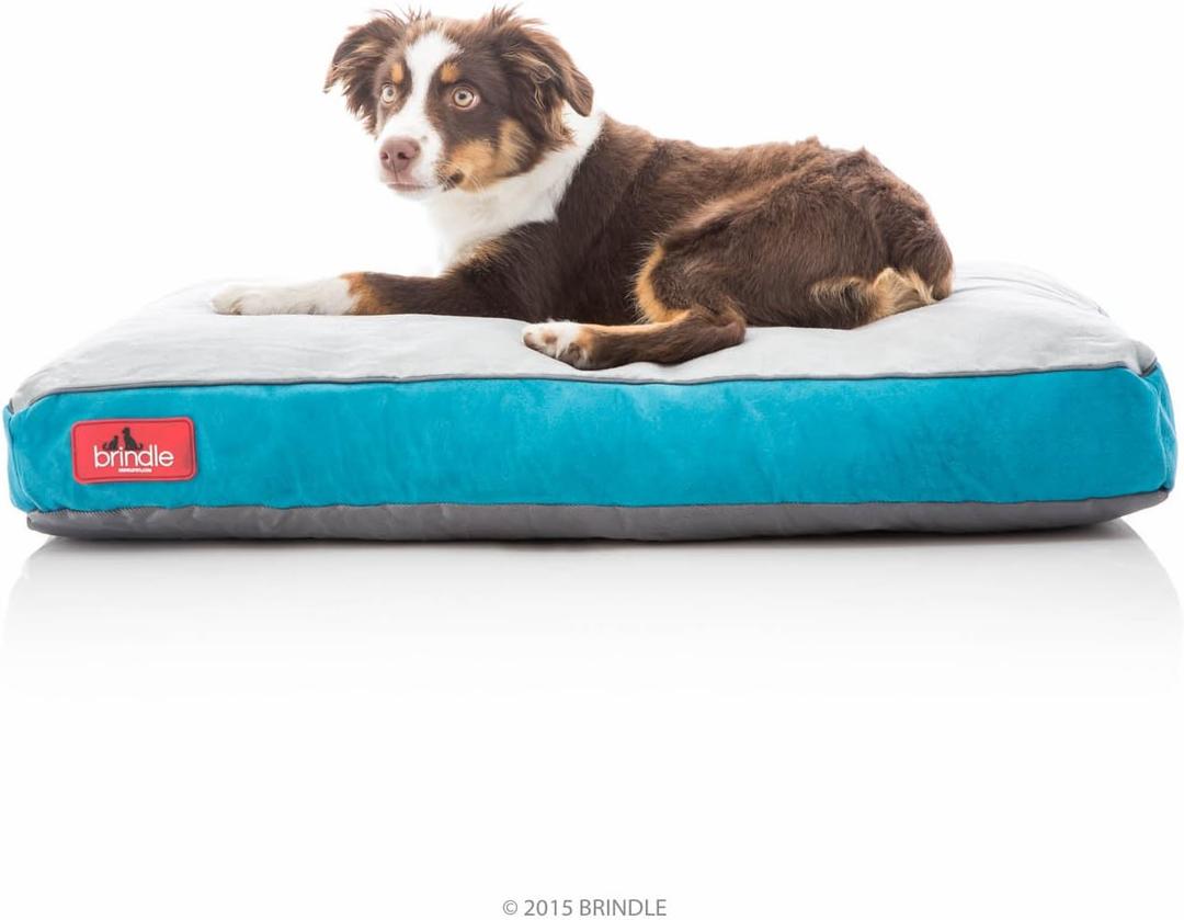 Brindle Teal Shredded Memory Foam Dog Bed - Pet Essentials - Orthopedic Design - Crate Compatible - Machine Washable Cover - Indoor Pet Bed for Dogs, Puppies, Cats, and Rabbits - Size Medium 28 x 18