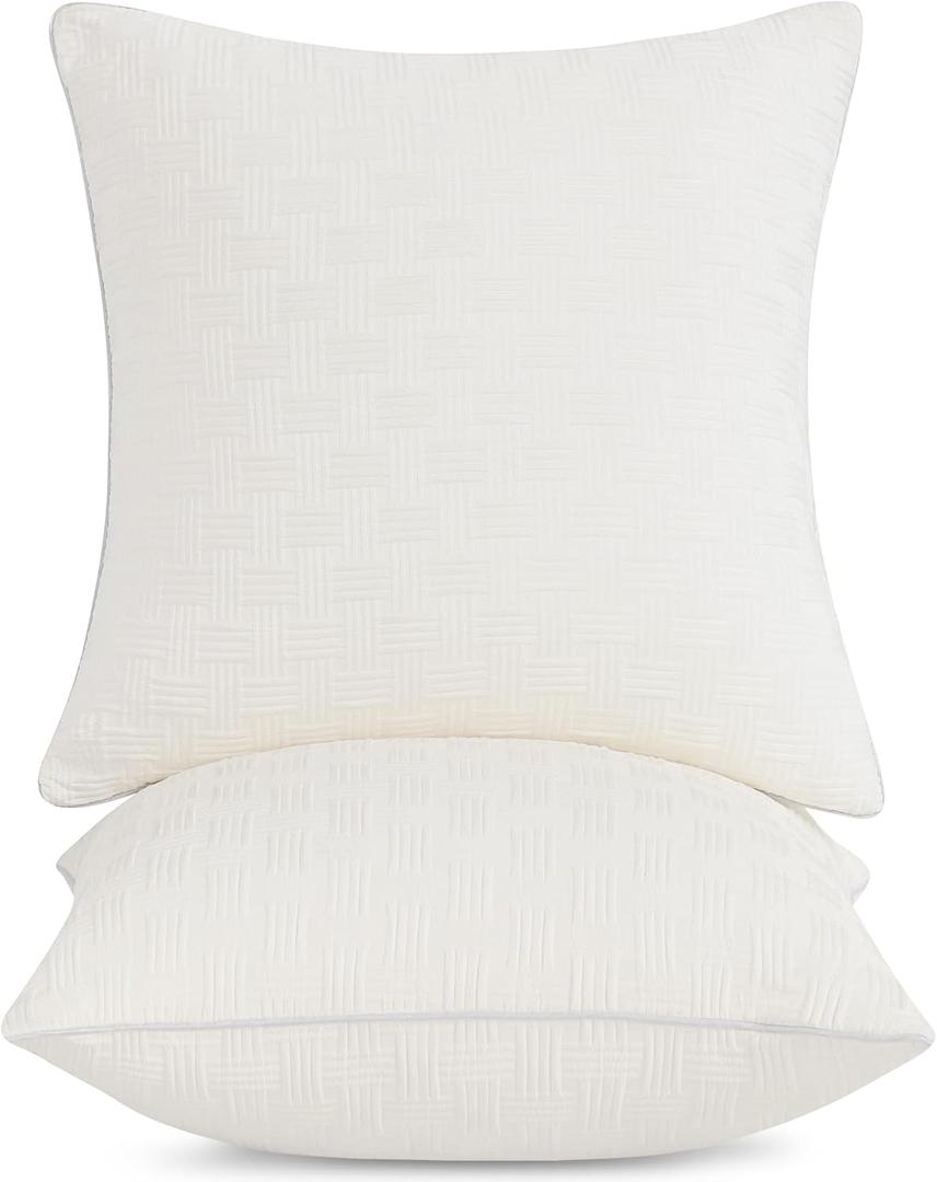 Leeden 18x18 Pillow Inserts Set of 2, Soft and Fluffy Throw Pillow Forms for Couch and Bed, 18 Inch Square Decorative Pillow Inserts, Beige