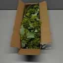 12Pcs Faux Flowers for Vase with Long Stem 23.6'' Green Chrysanthemum Flowers Artificial Spring Kiku Mums Silk Floral Arrangement for Easter Day Cemetery Home Kitchen Table Centerpiece Decor