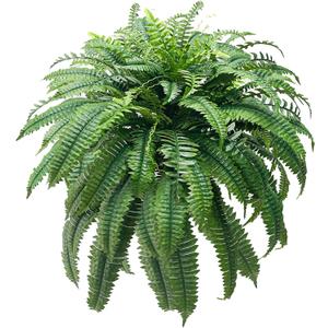 Artificial Boston Ferns for Outdoors 48Inch Extra Large Fake Ferns, 88 Branches Faux Boston Fern Bush, Artificial Faux Fern Hanging Plants for Home Decor, 1 PCS