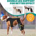 Dog Knee Brace for Hind Legs ACL Support - Adjustable Double Dog Leg Brace for Joint Pain Relief, Luxating Patella, Arthritis Recovery, Secure Fit Orthopedic Wrap for Small Medium Large Dogs (XL)