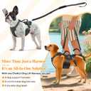 Dog Lift Harness, Dog Support & Recovery Sling for Full-Body & Hind/Front Leg Pee-Able Design for Large/Medium Dogs All-in-One Ideal Assistance for Senior, Disabled, Arthritic & ACL Canines (L)