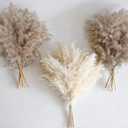 30 PCS Boho Decor, Fluffy Pompas Grass, Natural Dry Pampas Grass Small, Short Pampass Bulk for Boho Room, Coffee Table Decor (17 inch )