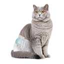Disposable Cat Diapers, 40 Count – Perfect for Both Male and Female Cats, for Elderly, (M) Incontinent, or Post-Surgery Cats and Dog – Leak-Proof, Super Absorbent & Hypoallergenic Pet Diapers