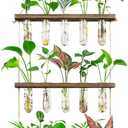 Monsiter QE 3 Tier Large Propagation Stations Wall Hanging Plant Terrarium with Wooden Stand, Retro Propagation Test Tube for Hydroponic Plants Cutting Flower, Propagator Home Office Patio Decor Gifts