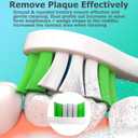 Replacement Heads Compatible with Phillips Sonicare Electric Toothbrush, Toothbrush Replacement Brush Head Fits for Philips Sonicare Protective Expert Daily 4100 1100 5100 6100, 12 Pack, White