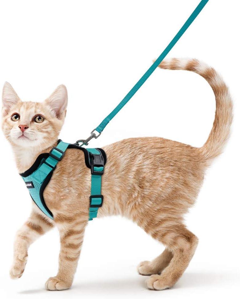 rabbitgoo Cat Harness and Leash for Walking, Escape Proof Soft Adjustable Vest Harnesses for Cats, Easy Control Breathable Reflective Strips Jacket, Emerald, XS