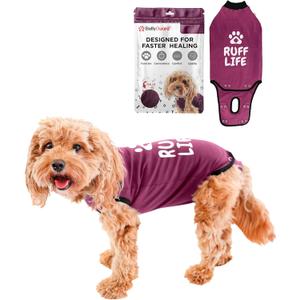 BellyGuard Recovery Suit for Dogs, Comfy Dog Surgery Suit, Female Spay and Male Neuter Onesie for Post-Op Care (Medium, Maroon)
