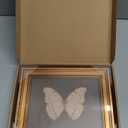 Gold Framed Wall Art Vintage Butterfly Canvas Wall Art White Butterfly Moody Insect Artwork Prints Picture for Living Room Bedroom Farmhouse Bathroom Office Decor, 8x10
