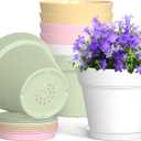 4 Inch Plastic Plant Pots with Drainage Holes and Trays  8 Pack Small Nursery Pots for Indoor & Outdoor House Plants and Flowers, Seedling Starter Planters, Colorful (Multicolor)