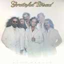 Go to Heaven,  Grateful Dead, (Vinyl)
