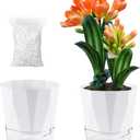 2 Pack Self Watering Pots for Indoor Plants, 8.4 Inches Self Watering Planters Large African Violet Self Watering Clear Pots for Plants Large Herb Orchid Flower Houseplant Pots, White