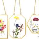3 Pcs Pressed Flower Frames with Tweezers, Wall Hanging Double Glass Frames with Metal Chain for Pressed Dried Flowers Plants, Golden