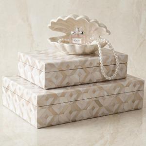 ZICOTO Decorative Storage Boxes with Lids - Set of 2 Beautiful Organizer Bins for Your Bookshelf Home Decor - Safely Store Photos, Documents and Memory Box Keepsakes on Your Shelves in Style
