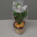 Baby Toys Interactive, Dancing Talking Cactus Toy Volume Adjustable, Mimicking Singing Repeating, Easter Gifts / Easter Basket Stuffers for Baby Toddler, Toddler Infant Baby Toys Gifts for Boys Girls