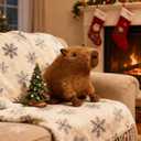 Cute Capybara Plush Stuffed Animal, 8.67inch Soft Capybara Plushie Kawaii Stuffed Toy, for Kids & Collectors