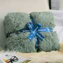 Bedsure GentleSoft Fuzzy Sherpa Faux Fur Twin Blanket Sage Green Cozy Gifts for Women Men, Soft Fleece Plush Warm Minky Thick Blanket Twin Size for Bed, Dorm Essentials Sage Room Decor Gifts, 60x80