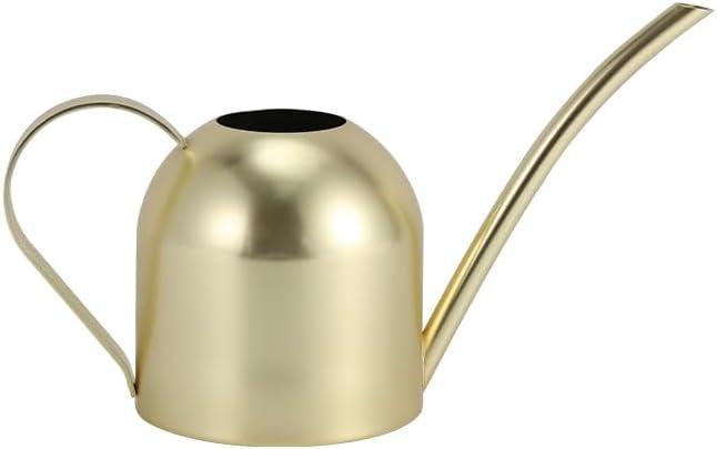 Stainless Steel Water Can for Indoor Plants and Garden (15 oz)