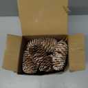 JOHOUSE 18PCS Snow Pinecone Ornaments, Large Spruce Pinecones Hanging Pinecones for Decorating Natural Pine Cones for Christmas Tree Hanging Decoration, Winter Vase Filler