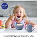 LITTLE RAWR Silicone Baby Feeding Set 14 Pcs,Baby Led Weaning Supplies, Baby Spoons Suction Bowl Divided Plate Bib Cup Finger Brush,First Stage Solid Food Eating Utensils - 6+ Months(Blue Gray)