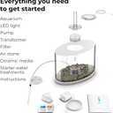 biOrb Loop 15 Acrylic 4-Gallon Aquarium with White LED Lights Modern Compact Tank for Tabletop or Desktop Display, White-Trimmed Tank