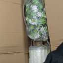 Artificial Camellia Tree 35in Faux Floral Plant with Orange Flowers and Green Leaves - No Maintenance Indoor Outdoor Office Home Porch Decor Housewarming Gift(2-PackOrange)