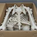 Life Size Posable Human Skeleton Halloween Decoration Value 2 Pack- Adult 5' 4" & Child 2' - Articulated Limbs Stay in Place, Weather Resistant Indoor/Outdoor- Upgrade Fall Haunted House Party Props