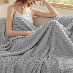 Bedsure Grey Throw Blanket for Couch - GentleSoft Warm, Cozy & Soft Blanket for Women, Cute Small Fleece for Girls, Ideal for Chair & Bed, Light Grey, 50x60 Inches