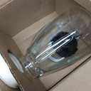 Oster Vortex Glass Blender, Reversible Steel Blades, 800 Watt, Oatmilk