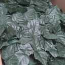 Artificial Ivy Privacy Fence Screen, 120x40 inch Dense Leaf Green Ivy Wall Panel, Super Privacy Greenery Backdrop Faux Ivy Greenery for Patio, Balcony, Garden, Backyard Indoor Outdoor Decor