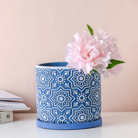 Decorative Cement Flowerpot Succulent Planting Pot of Pots Home Flower Live Succulents Blue