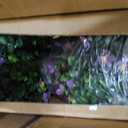 Set of Two 37 Inch Artificial Topiary Tree, Purple Flower