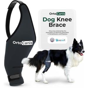 Ortocanis Dog Knee Brace for Hind Leg Support  Flexible Neoprene Knee Brace for Dogs with Joint Instability, Torn ACL, Limping or Osteoarthritis  Comfortable Support for Recovery (X-Mini, Left Leg)