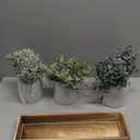 Winlyn Set of 3 Mini Potted Artificial Eucalyptus Plants Faux Rosemary Plant Assortment with Wood Planter Box for Indoor Office Desk Apartment Wedding Tabletop Greenery Decorations 8.7" Tall