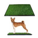 Downtown Pet Supply Dog Grass Pad with Tray, 20 x 25 - Outdoor and Indoor Potty System for Dogs with Replaceable Synthetic Grass Pee Turf - Portable and Waterproof Turf Dog Potty