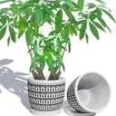 5.8 Inch Boho Plant Pots Indoor - Artisanal Succulent Pots with Drainage Holes and Saucer, Cement Pots for Indoor Plants, Flower Pot with Rubber Pot Feet, Set of 2, Black Lines and Cream White