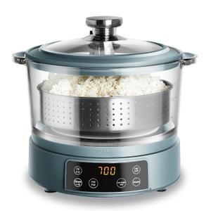 COOK WITH COLOR 3L Glass Mini Low Carb Rice Cooker  Holds 2 Cups Raw/Makes 6 Cups Cooked with Auto Lift Filter Basket, Hotpot & Steamer for Rice, Grains, Digital Panel with Keep Warm, Slate Blue