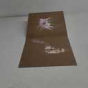 Beautifully Broken [LP]