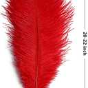 THARAHT Red Ostrich Feathers 12pcs Large Natural Bulk 20-22Inch 50cm-55cm for Wedding Party Centerpieces Halloween and Home Decoration Feathers
