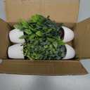 4 Pack Fake Plants Ceramic Mini Artificial Greenery Potted Plants for Home Decor Office Decor Room Decor Farmhouse Decor Indoor Table Bathroom Decor (White)