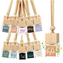 Teenyyou 10 Pcs Christian Appreciation Gifts for Church Christian Car Hanging Ornament Empty Glass Essential Oil Diffuser Religious Inspirational Biblical Gifts for Women School Church Supplies