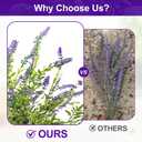 2 Pack Artificial Lavender Plants in Pots Artificial Potted Plants Fake Flower Plant Real Touch Silk Faux Plants Greenery for Indoor Porch Patio Greenery Farmhouse Garden Office Decor (Type 4)