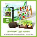 Dan&Darci Root Viewer Kit for Kids - Grow Your Own Plant for Boys & Girls Gifts - Science STEM Toy & Craft Growing Kits for Ages 4-8 Birthday Gifts for Boy, Girl 4, 5, 6, 7, 8, Year Old
