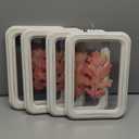 Pack Of 4 11.8 in Clear Wall Sign Leaf Red